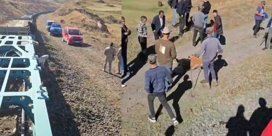 Kars’ta yük treni hayvan sürüsüne çarptı