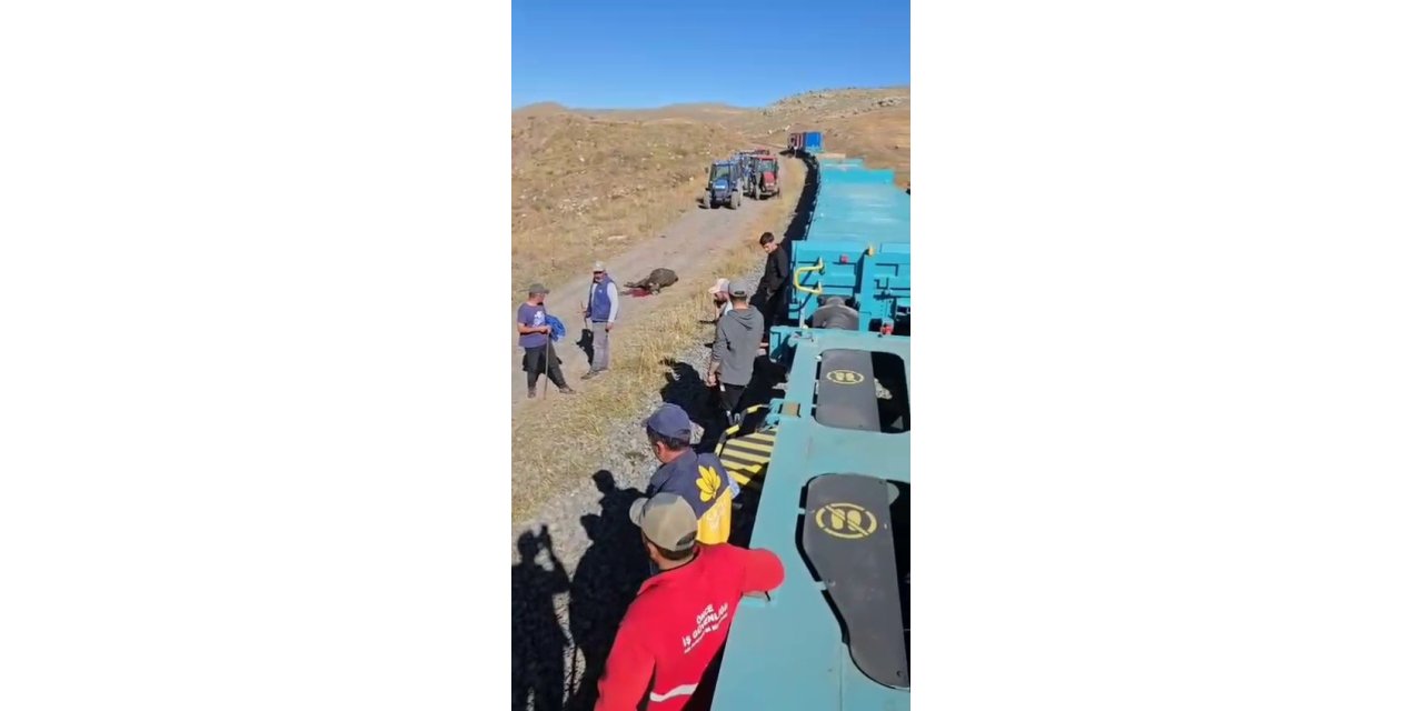 Kars’ta yük treninin çarptığı 5 hayvan telef oldu