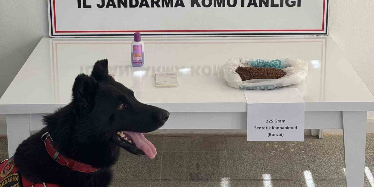 Muş’ta uyuşturucu operasyonu: 2 gözaltı