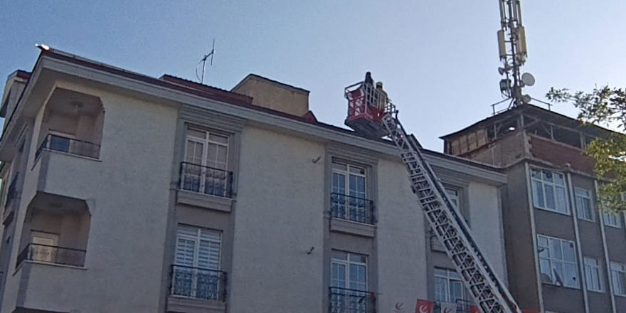 Çatıda mahsur kalan kedi itfaiye ekiplerince kurtarıldı