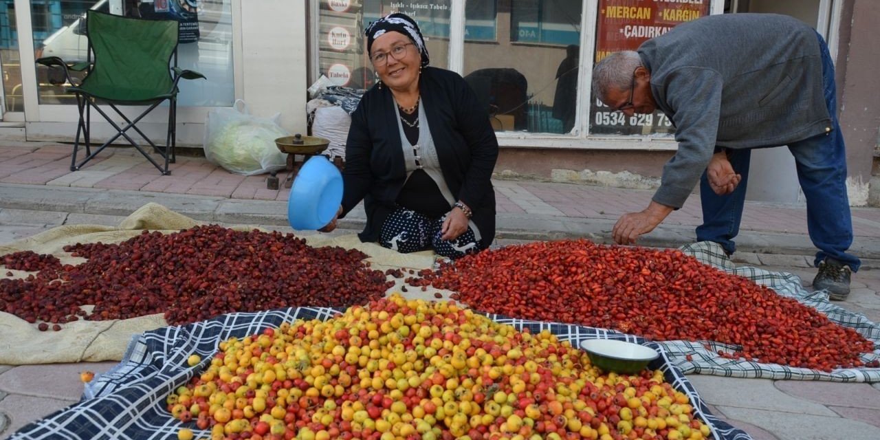 Tercan dağlarında yetişen yaban meyveleri pazar tezgahlarını süslüyor