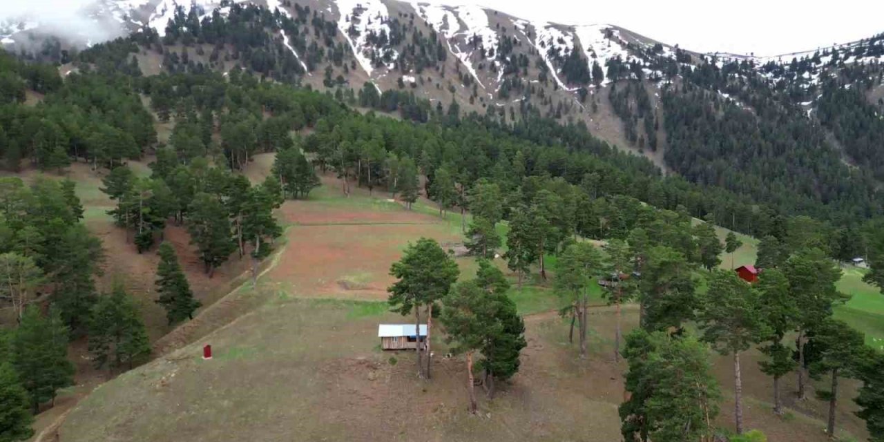 Yaylalara erken kar sürprizi