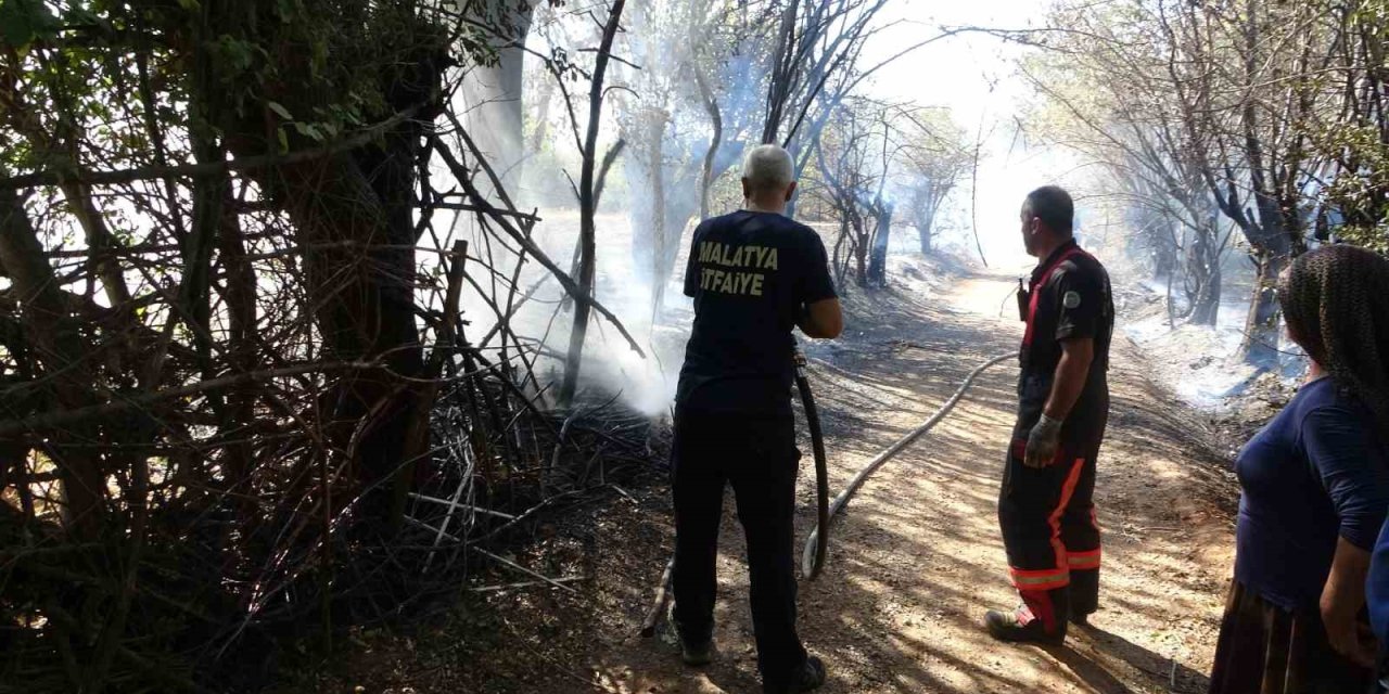 Çöpleri yakmak isterken meyve bahçelerini küle çevirdi