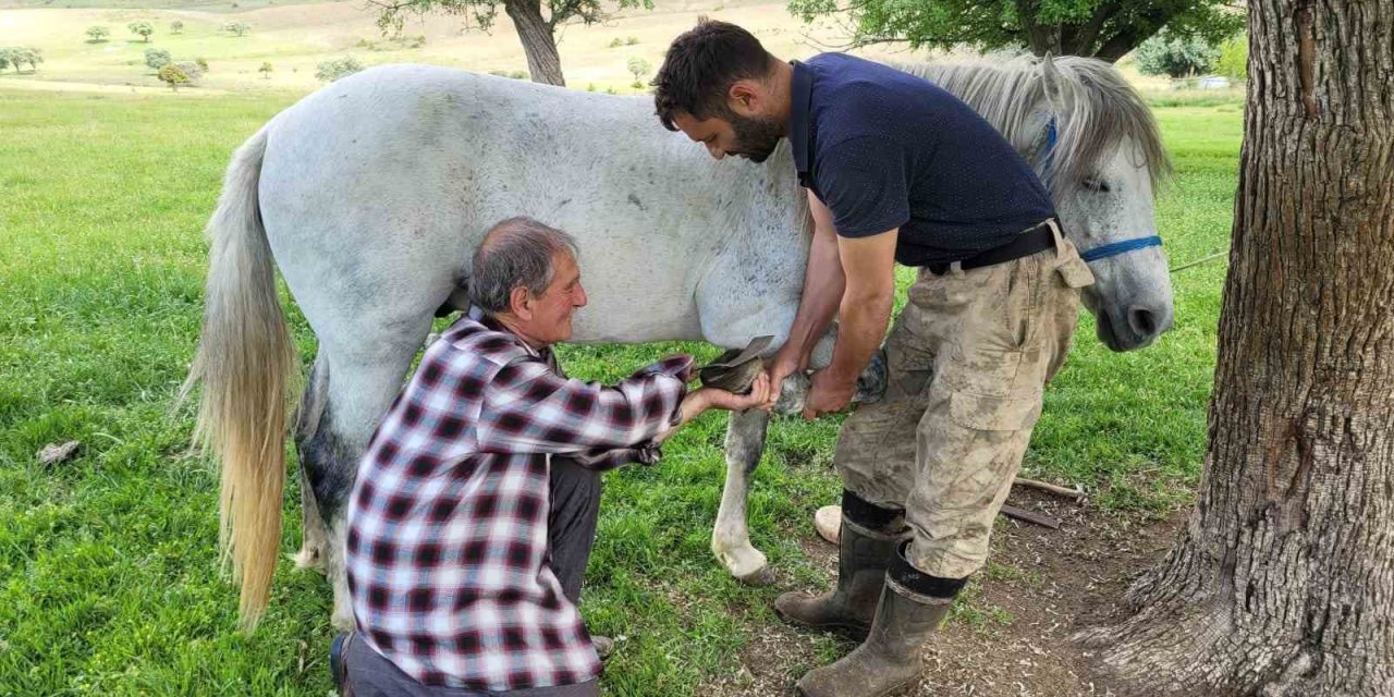 Kemaliye’nin son nalbant ustası yarım asırdır mesleğini sürdürüyor