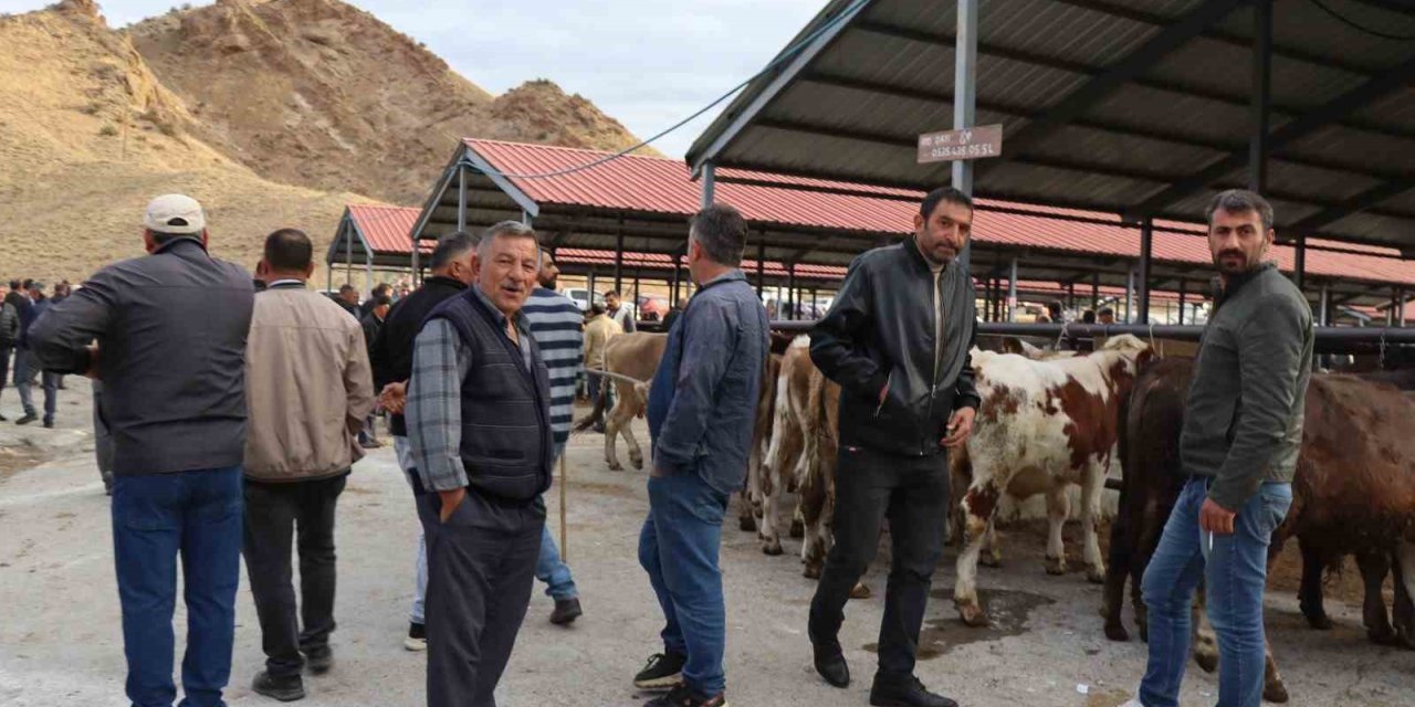Oltu canlı hayvan pazarı şap hastalığı sonrası eski canlılığına kavuştu