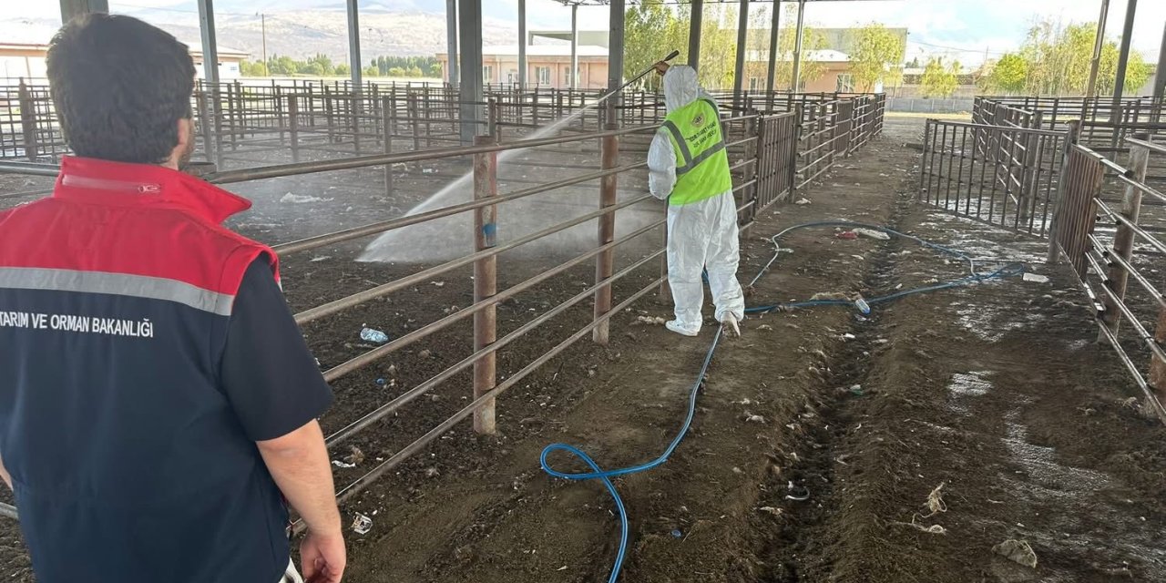 Iğdır’da açılan hayvan pazarı 2 hafta sonra tekrar kapatıldı