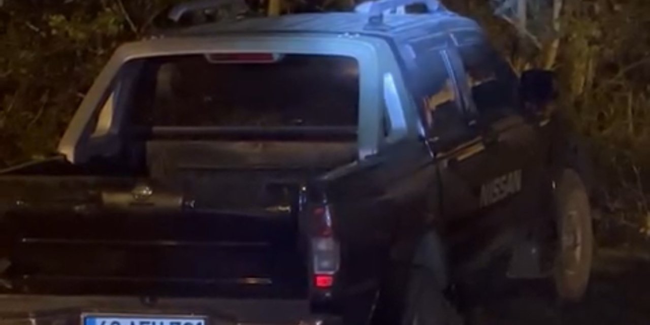 Yüksekova’da dost canlısı tilki: Önce arabanın üzerine çıkıyor, sonra elle besleniyor