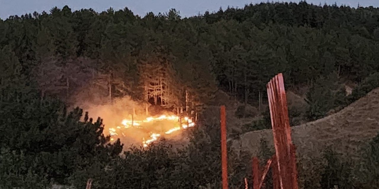 Bingöl’de çıkan orman yangını kontrol altına alındı