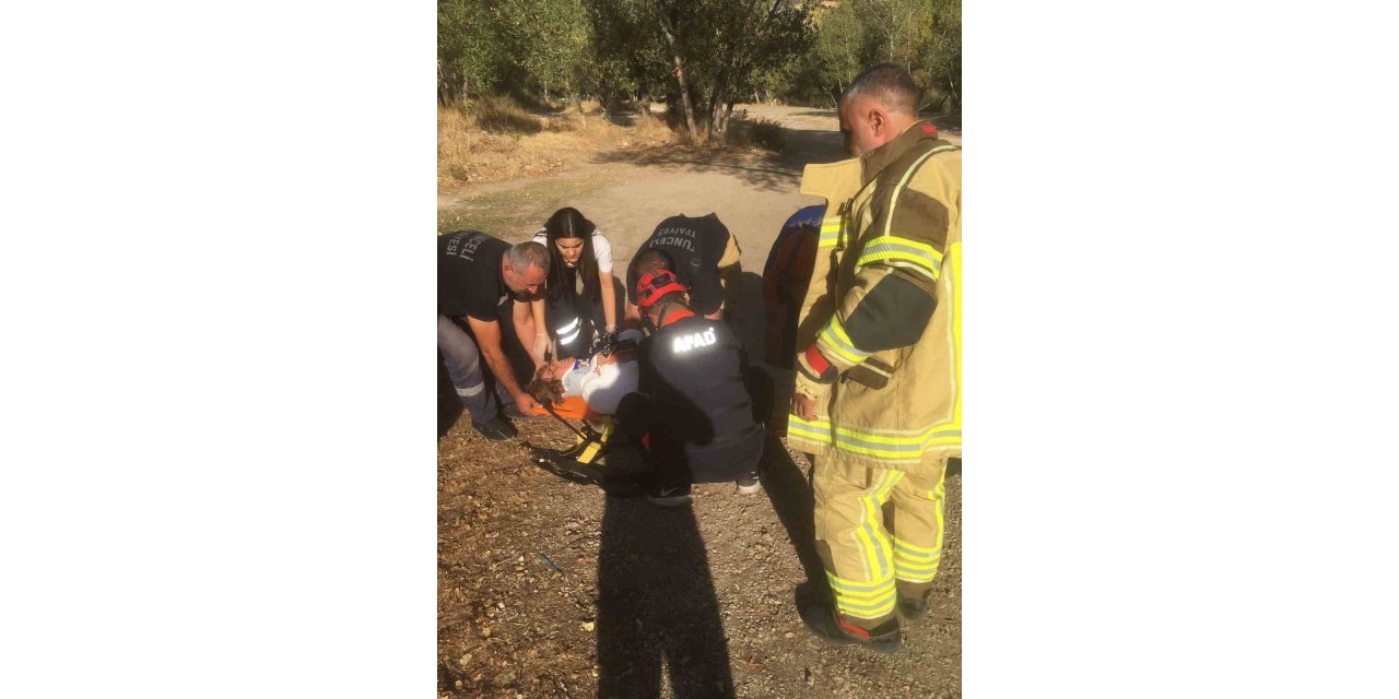 Tunceli’de trafik kazası: 5 yaralı