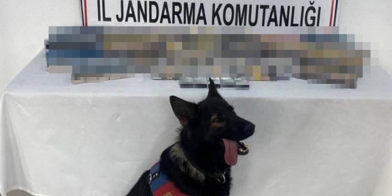 Ağrı’da bin 227 paket gümrük kaçağı sigara ele geçirildi