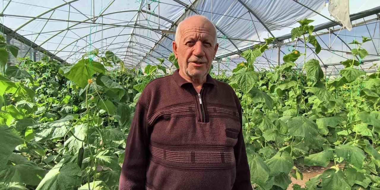 Doğu Anadolu’nun en büyük serasında üretim aralıksız sürüyor