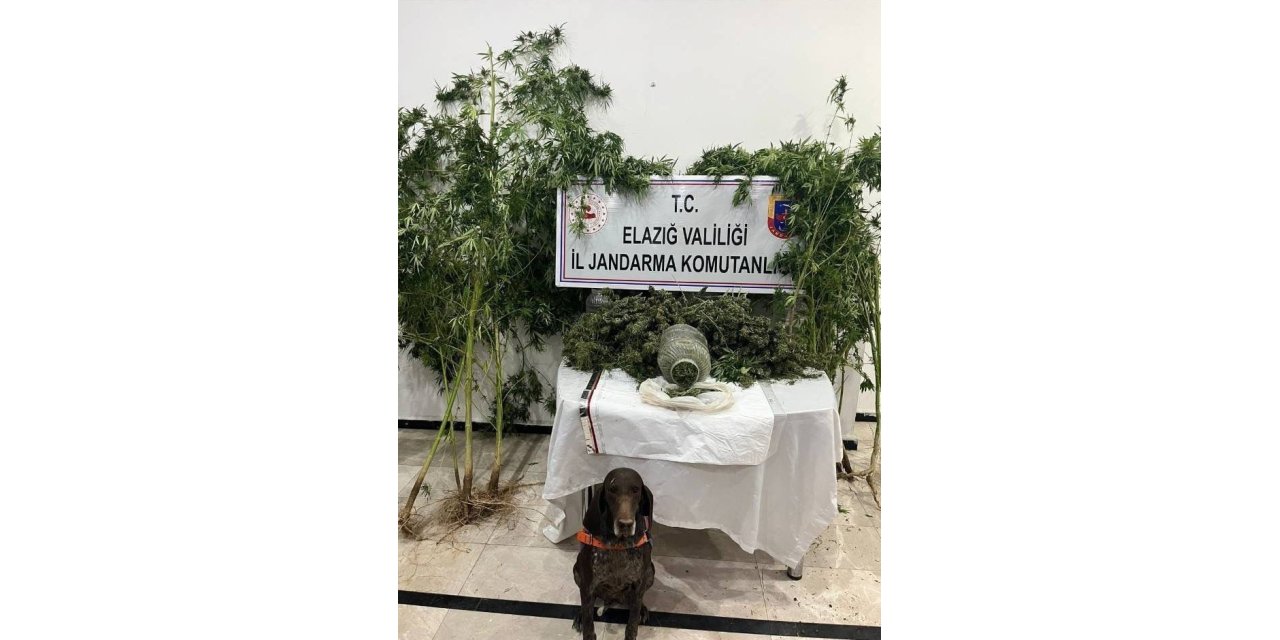 Elazığ’da uyuşturucuyla mücadele: 1 tutuklama