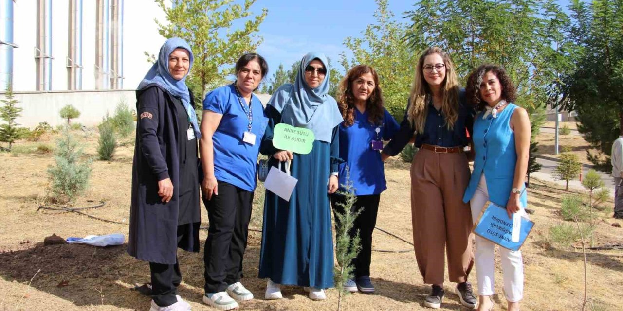 Elazığ’da fidan dikimi yapıldı