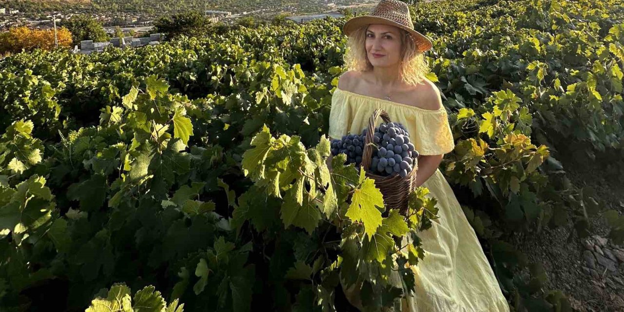 "Üzümlü’de Yaşam" temalı fotoğraf yarışması düzenlenecek