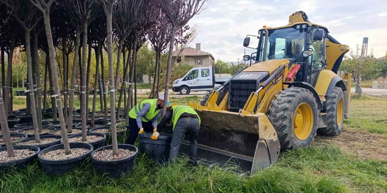 Van Büyükşehir Belediyesinden yeşillendirme çalışması
