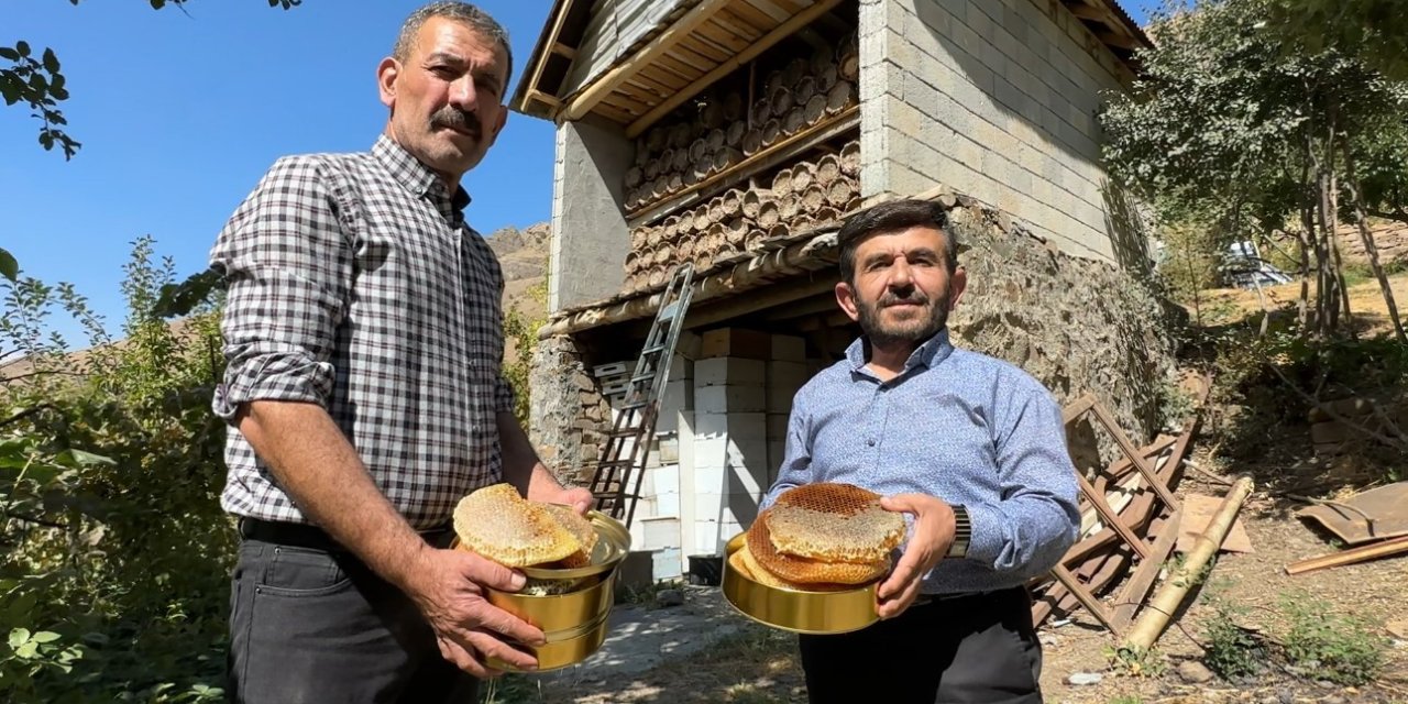 Hakkari dağlarında bal hasadı başladı