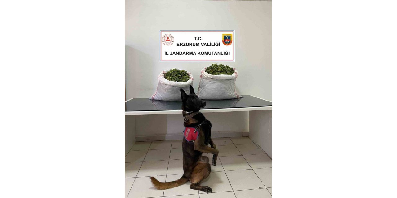 Jandarma’dan uyuşturucu operasyonu