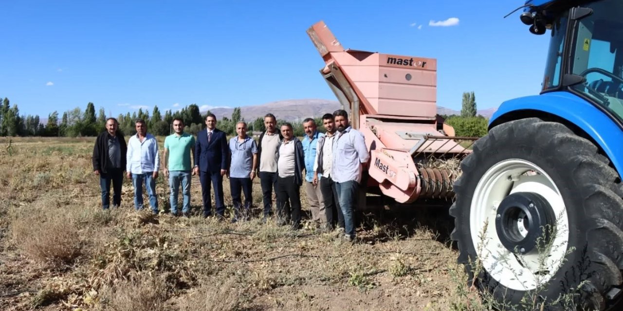 Erzincan’da kuru fasulye hasadı başladı