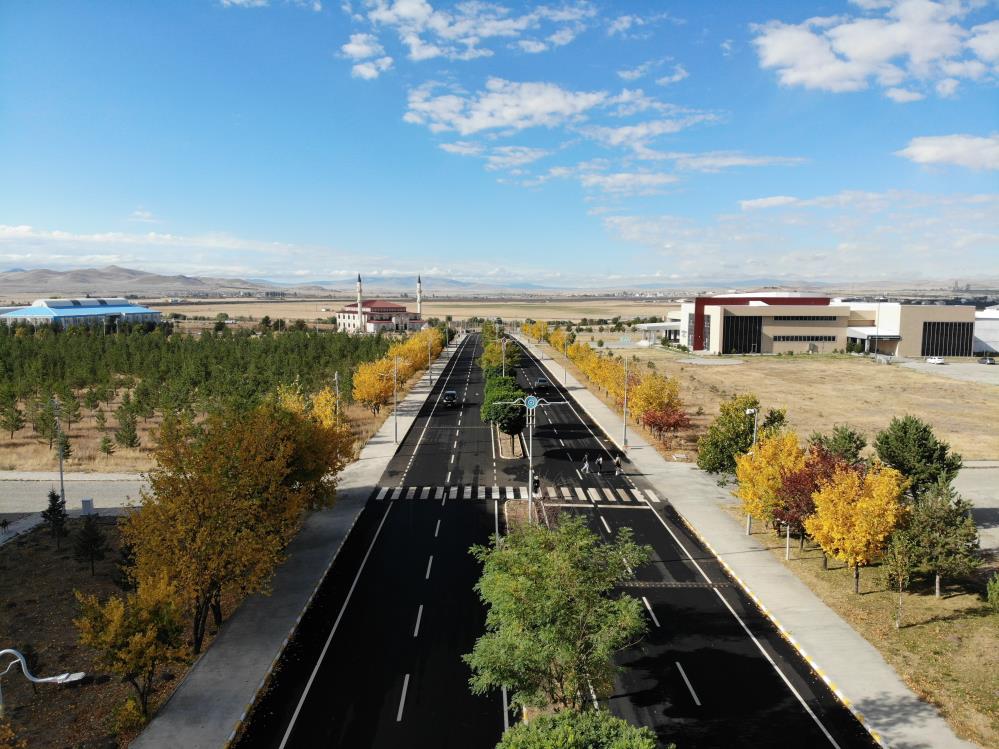 Kars’ta renk tonuna bürünen ağaçlar büyüledi