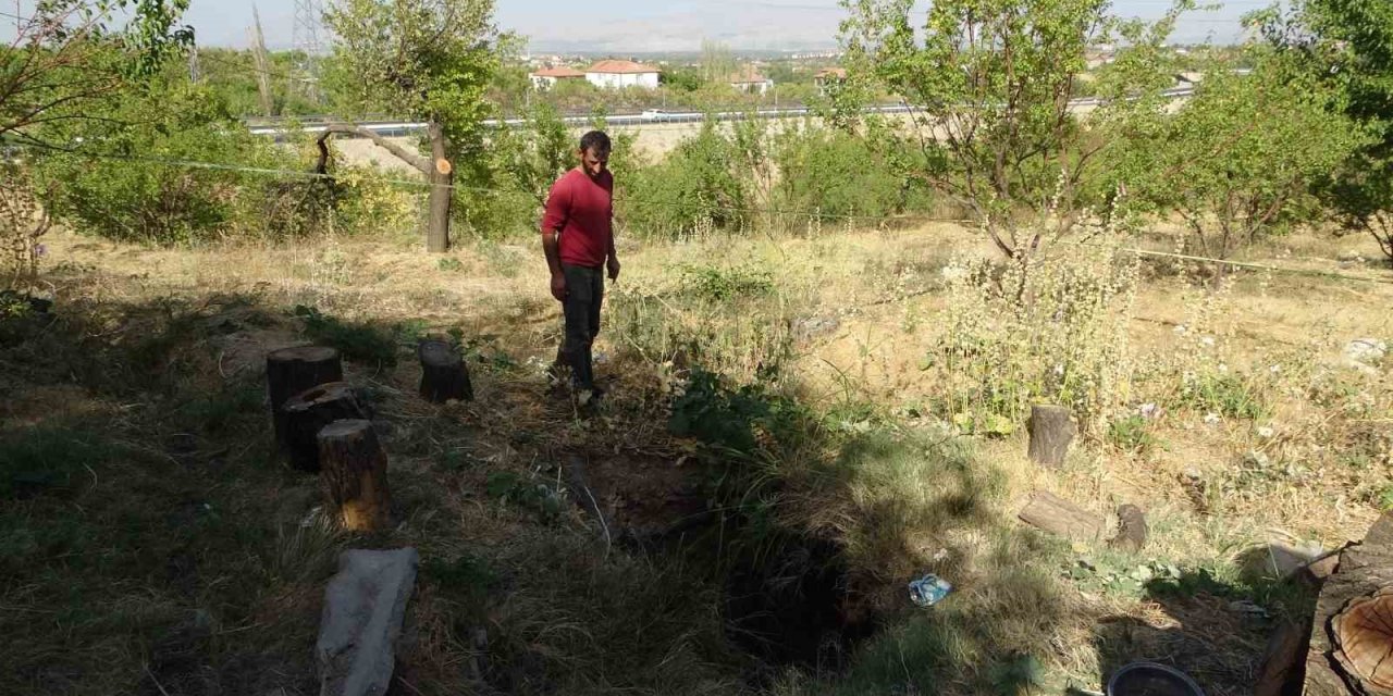 Malatya’da kayısı bahçesinde obruk oluştu