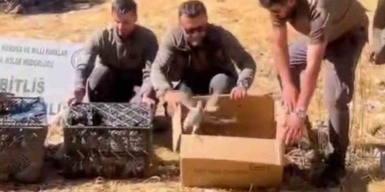 Bitlis’te Keklik ticaretine geçit verilmedi