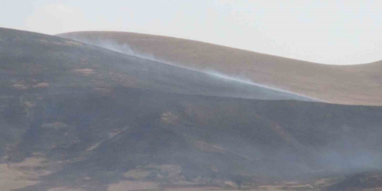 Kars’ta anız yangını