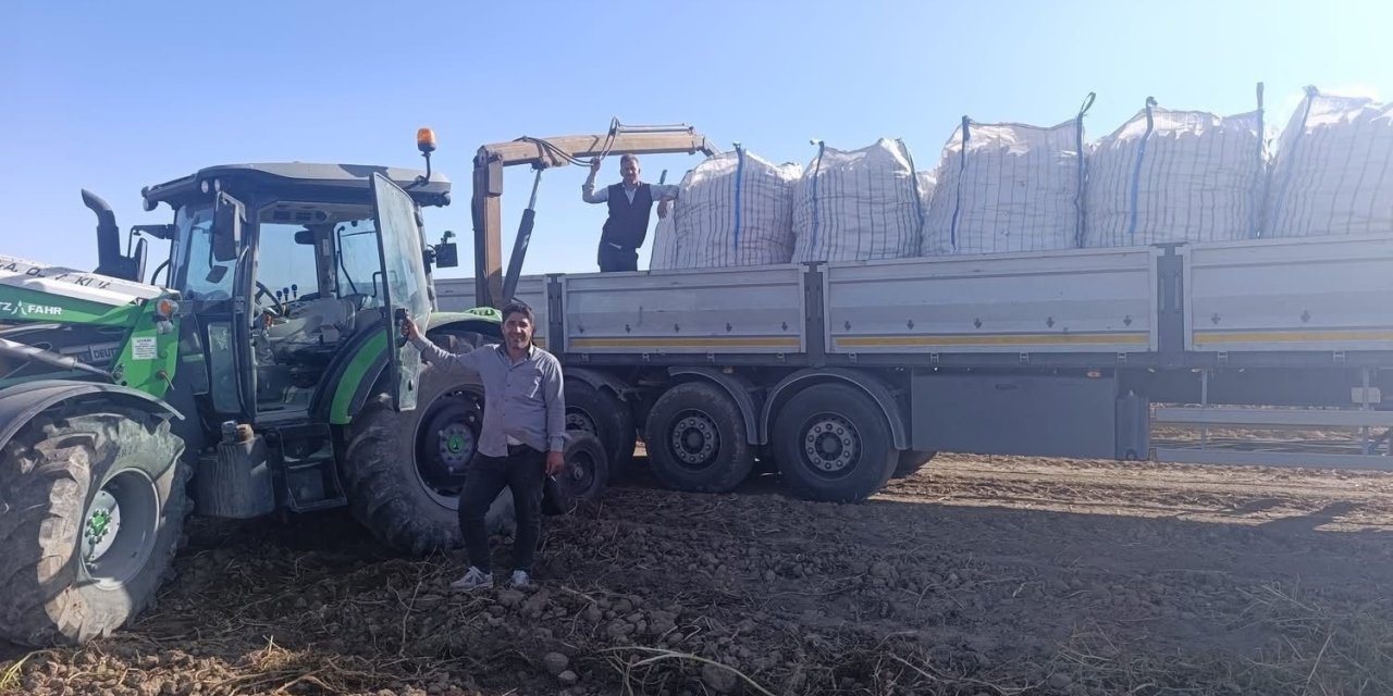 Patnos’ta patates hasadı başladı