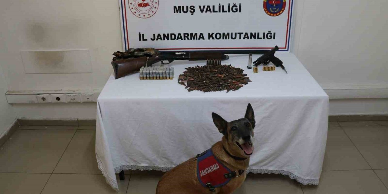 Muş’ta tezek yığınının altından silah ve mühimmat çıktı