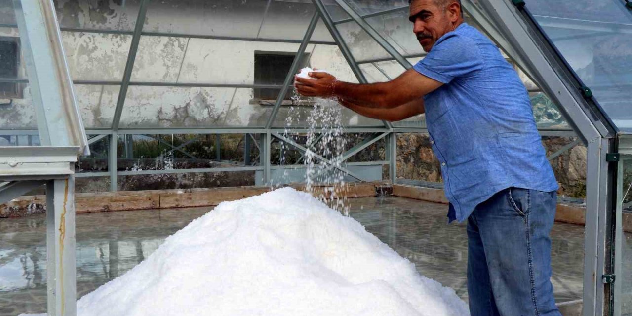 Erzincan’ın dağlarından sofralara