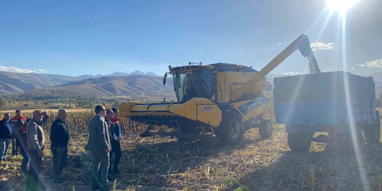Çayırlı’da ayçiçeği hasadı başladı
