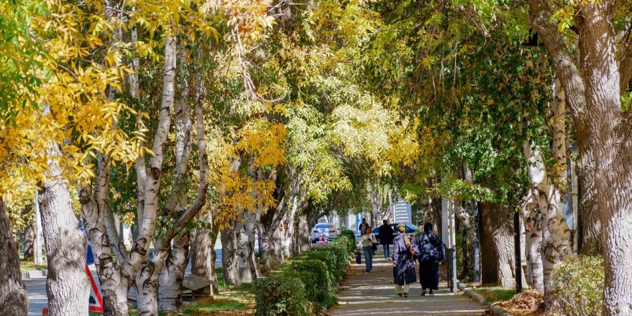 Meteorolojiden kuvvetli rüzgar ve kar uyarısı
