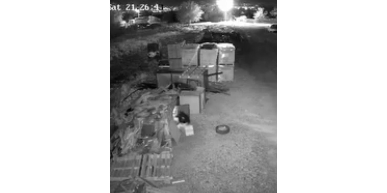 Elazığ’da güvercin hırsızlığı kameralara yansıdı