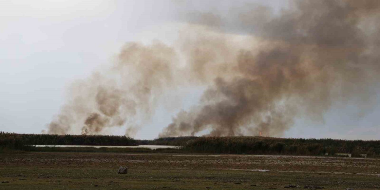 Büyük İron sazlığında yangın