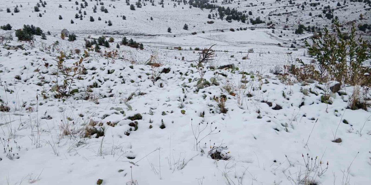 Posof’ta kar yağışı etkili oldu