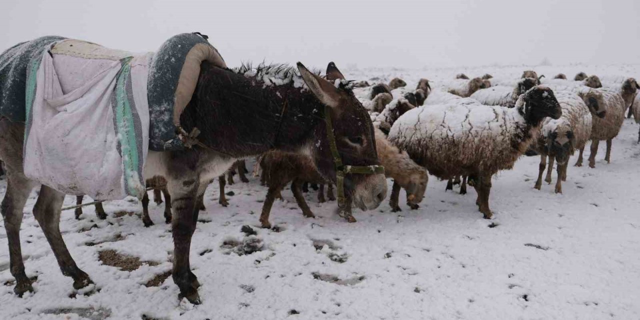 Göçerler kara yaylada yakalandı