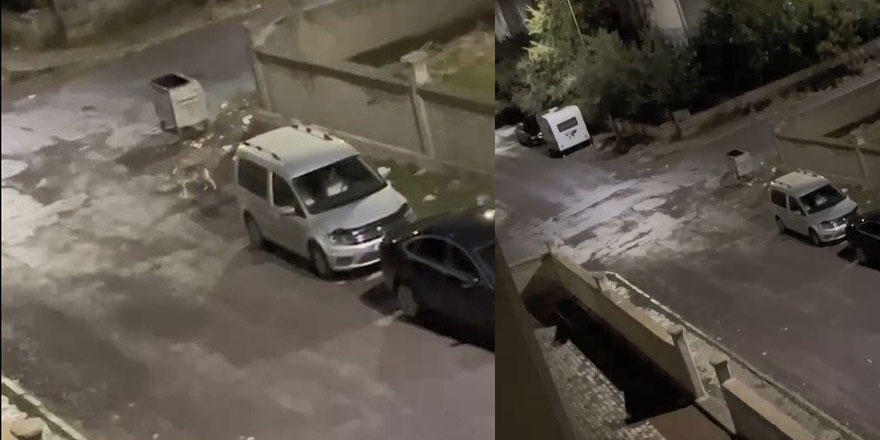 Kurt kent merkezine indi