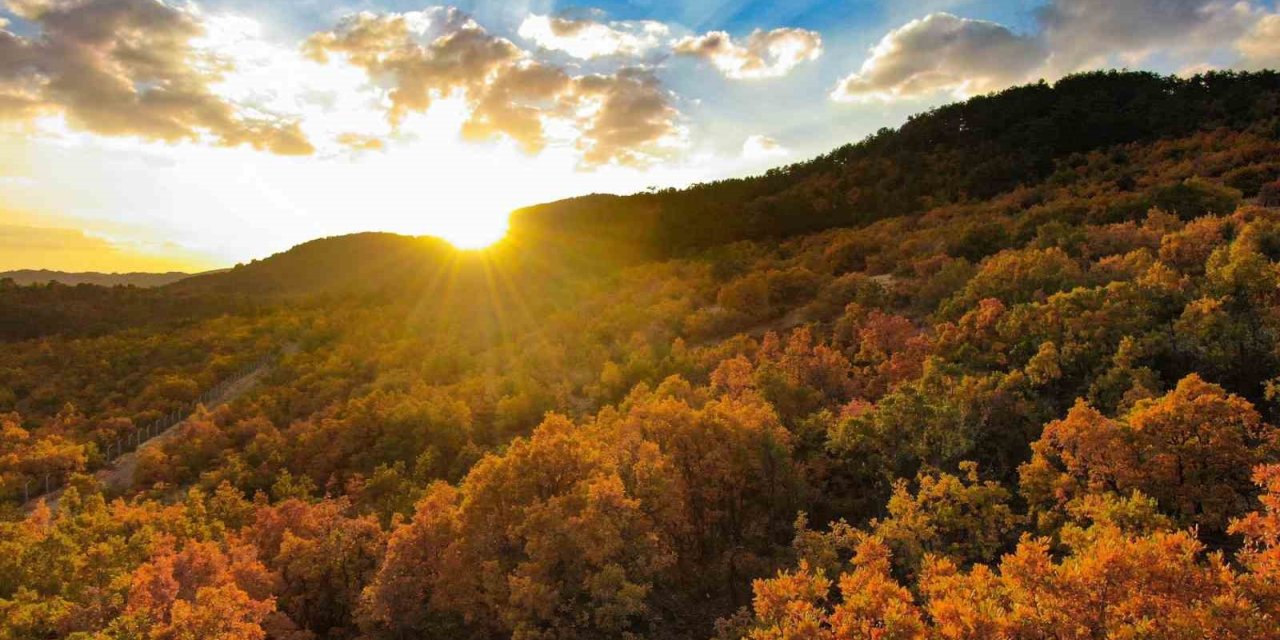 Erzincan’da hazan mevsimi güzelliği
