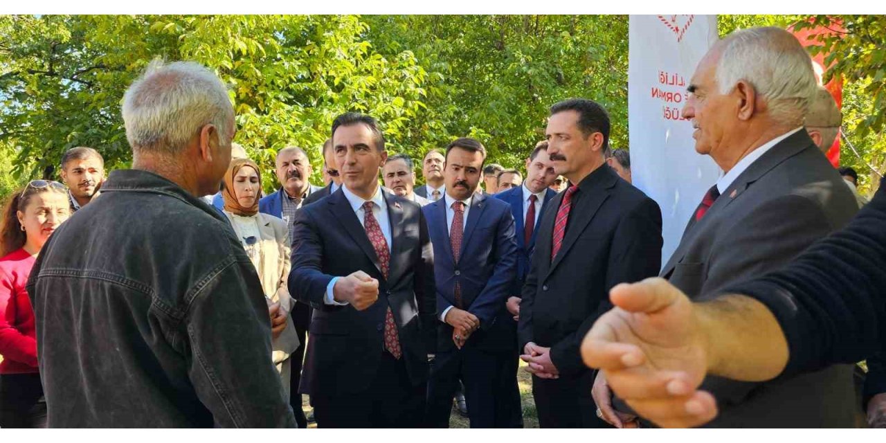 Vali Ahmet Karakaya ceviz hasadına katıldı