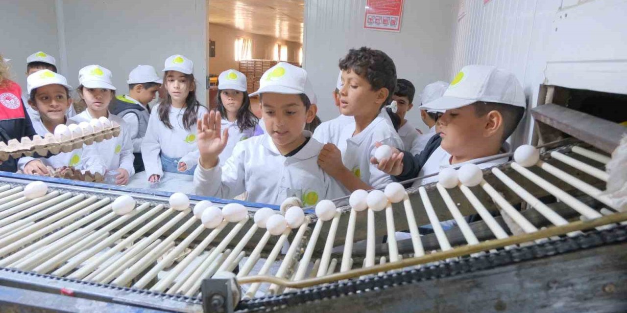 Muş’ta "kooperatifçilik" temalı tarım kampı düzenlendi