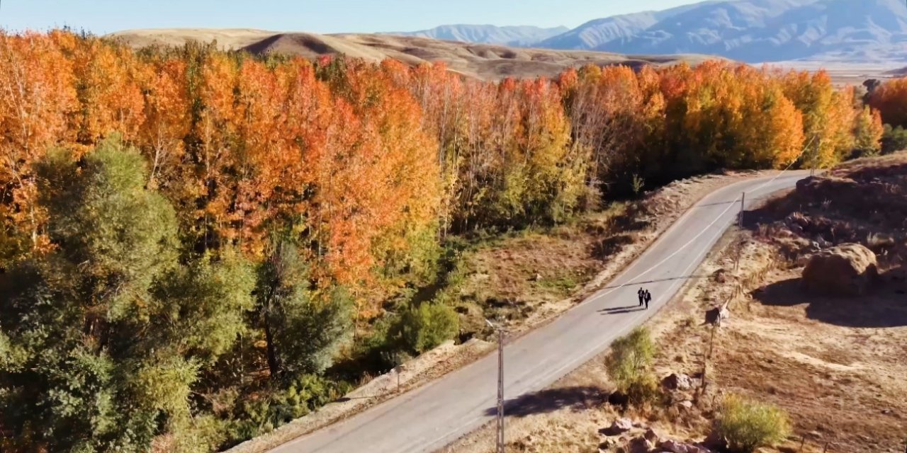 Yüksekova’da sonbahar ihtişamı: Kırmızı, sarı ve yeşil Cilo eteklerini cennete çevirdi