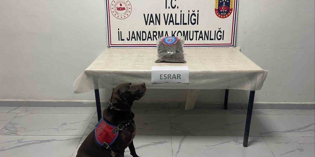 Hakkari’de kubar esrar ele geçirildi