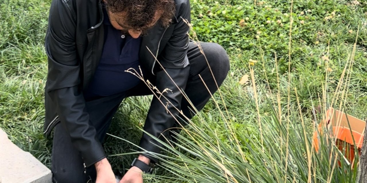 Öğretmenin fark ettiği yaralı güvercin kurtarıldı