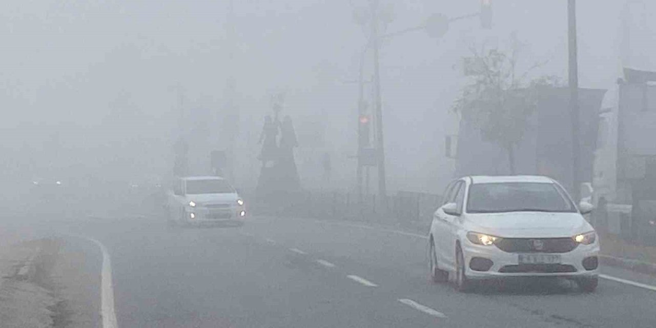Iğdır’da yoğun sis etkili oldu