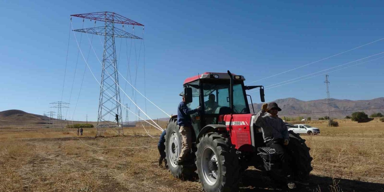 Van’da 31 kilometrelik enerji hattı tamamlandı: Çalışmalarda yabani kuşlar gözetildi