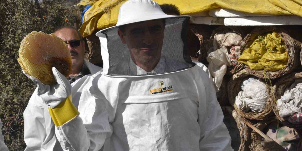 Bitlis Valisi Karakaya dünyaca ünlü karakovan balının hasadını yaptı