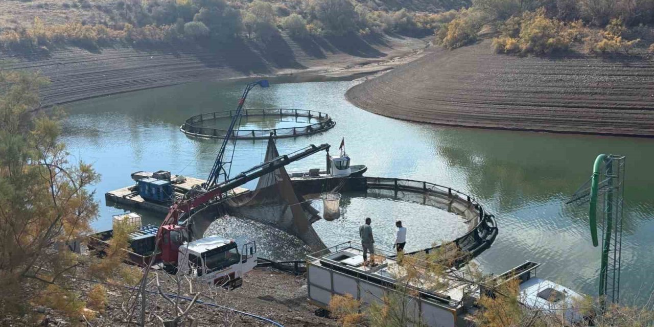 Tercan Baraj Gölü’nde su ürünleri üretimi büyüyor