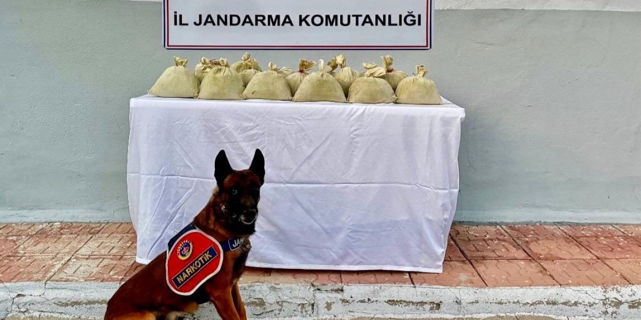 Hakkari’de 15 kilogram esrar ele geçirildi