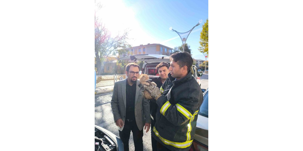 Otomobilin motor kısmına sıkışan yavru kedi itfaiye ekiplerince kurtarıldı
