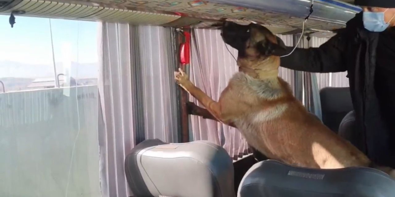 Otobüs bagajında skunk düzeneği: 8 kilo zehir ele geçirildi