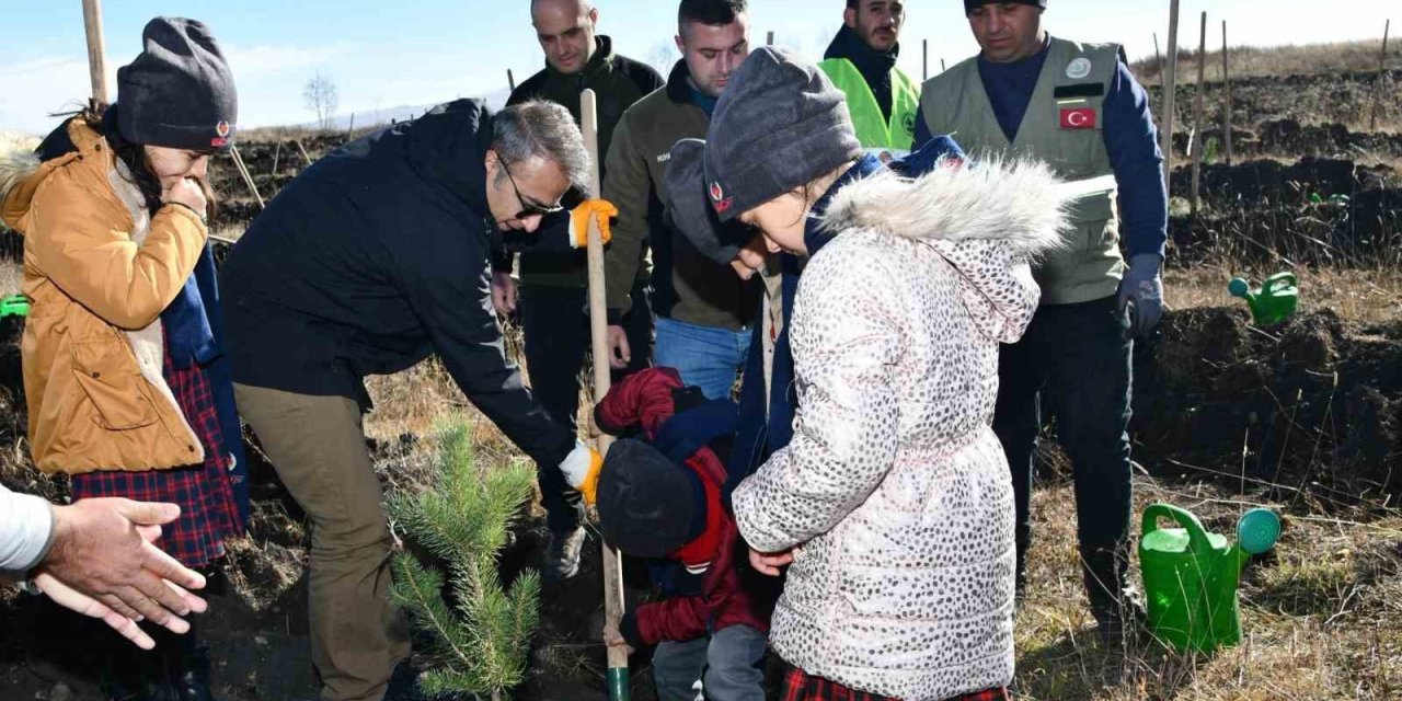 Ardahan’da öğrenciler fidan dikti